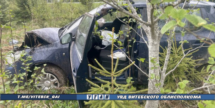 Не учла погоду. Женщина-водитель пострадала в ДТП в Городокском районе