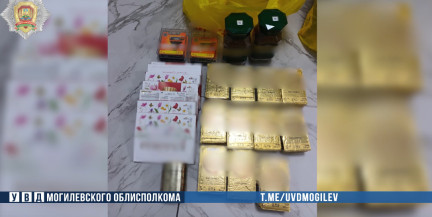 «Бесплатный» шопинг в Бобруйске: мужчина за день совершил кражи в 8 магазинах