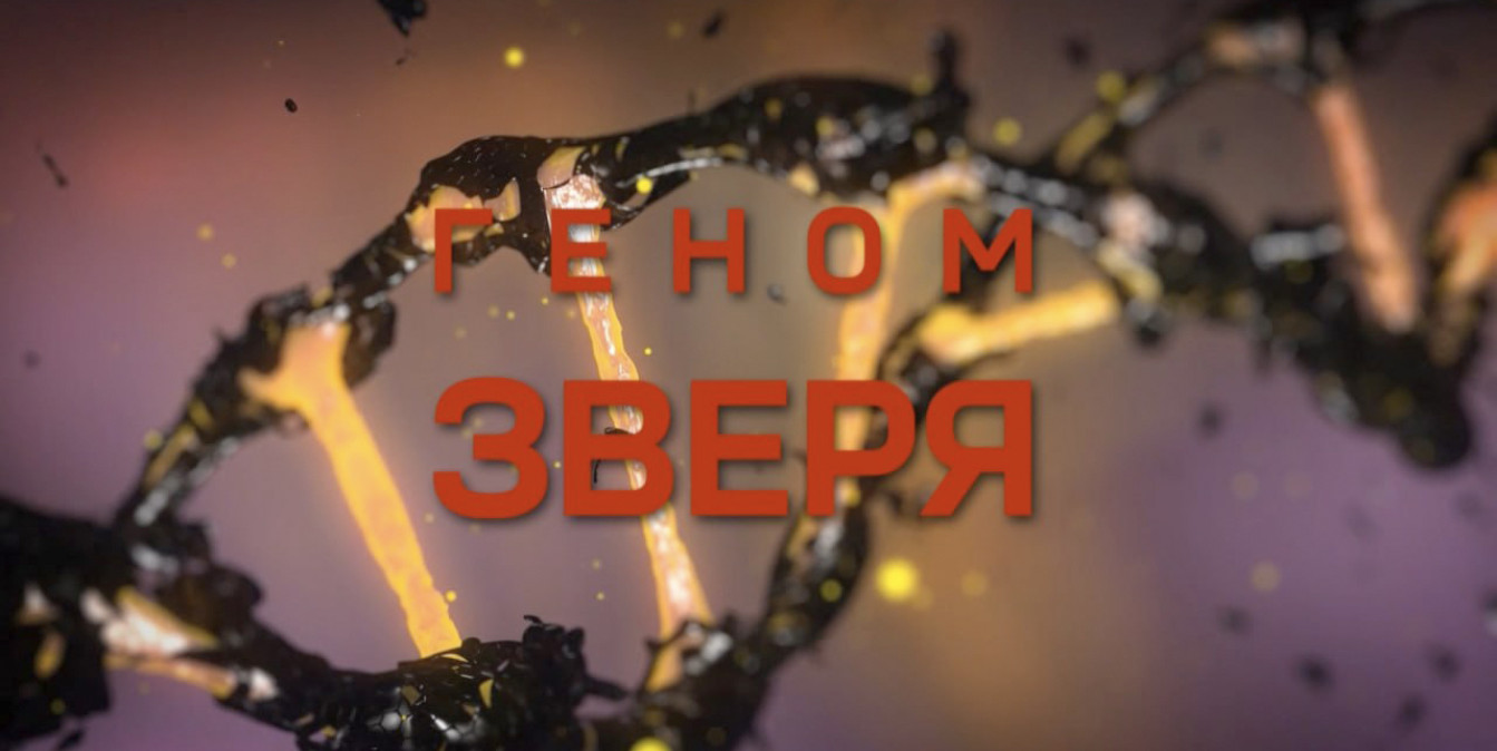 «Геном зверя»: девять подтвержденных жертв и экспертиза, доказавшая вину насильника – в расследовании ОНТ