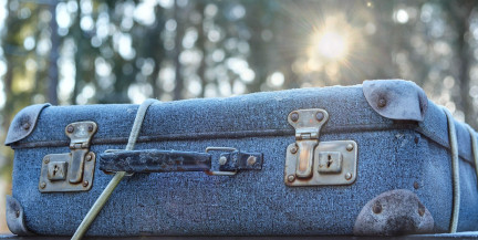 Чемоданы с мертвыми девочками внутри случайно нашли рядом со школой в США