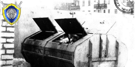 В Жлобине раскрыли шокирующее убийство младенца из 2003 года