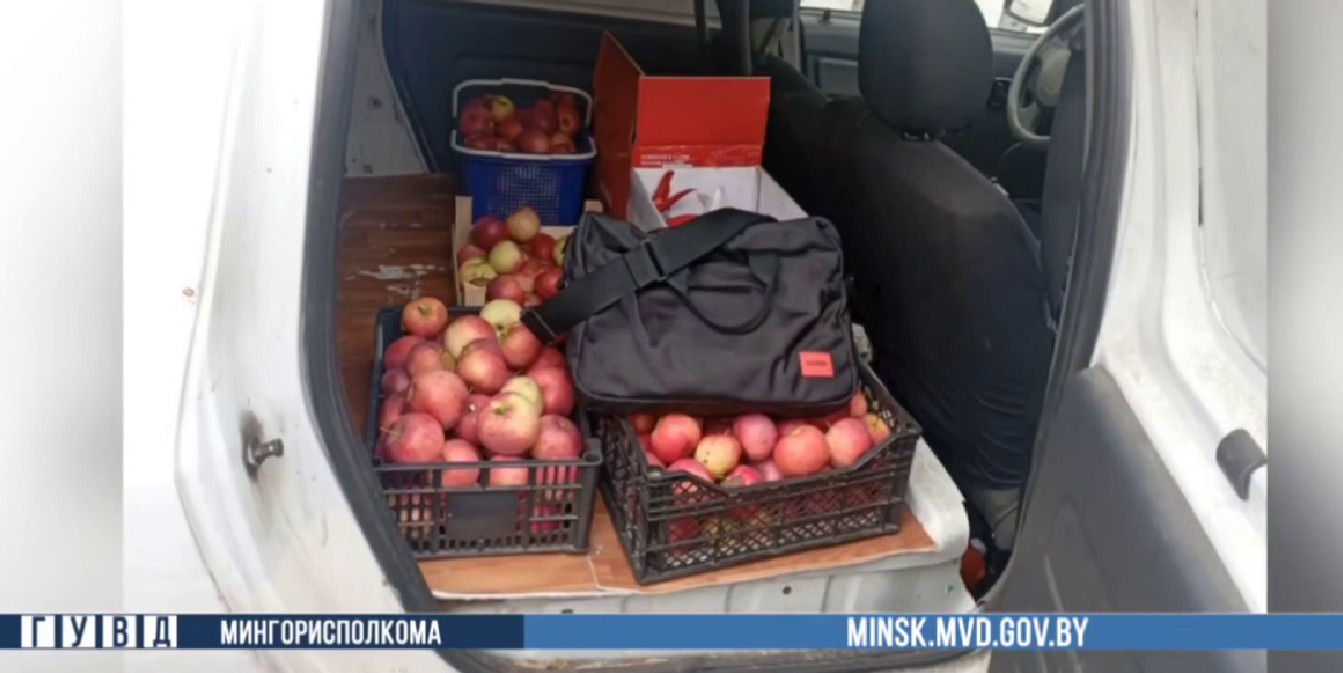 Украденный ноутбук в сумке, который правонарушитель спрятал в машине