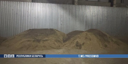 8 чиновников похитили тысячу тонн рапса – на Минщине раскрыта схема в АПК