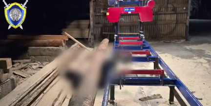 Рабочий погиб на пилораме в Борисове