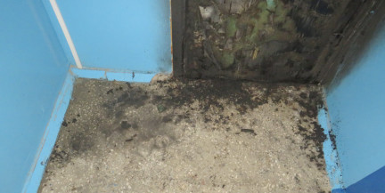 В Лиде пьяный мужчина поджег дверь соседки – чем все закончилось