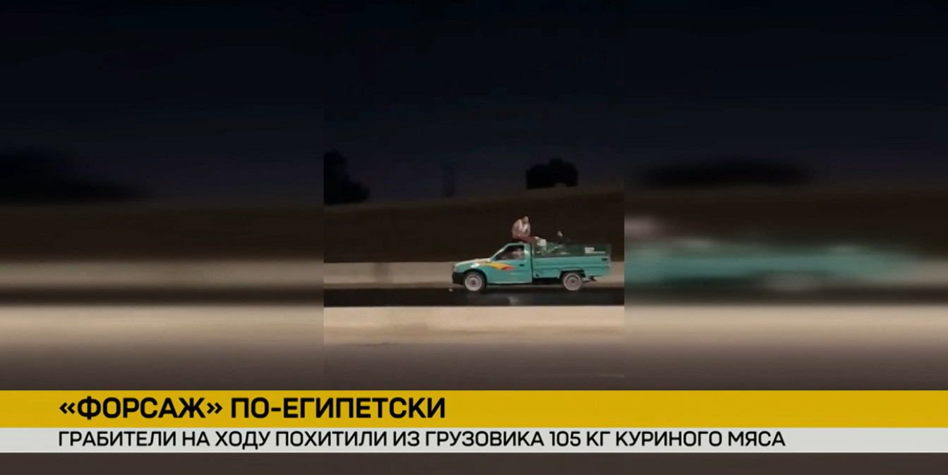 В Египте бандиты похитили больше ста килограммов замороженной курицы