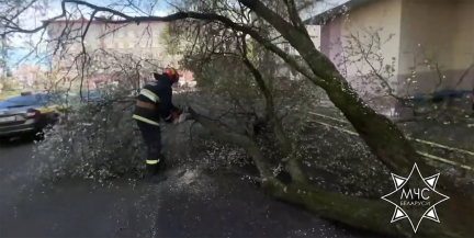 Спасатели МЧС ликвидировали последствия сильного ветра в пяти регионах Беларуси