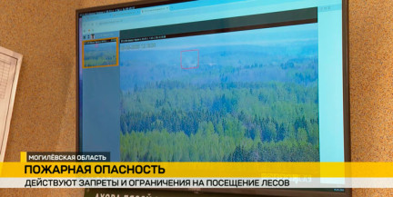 Видеонаблюдение на вышках и сотовых станциях: Могилевский лесхоз под круглосуточным контролем