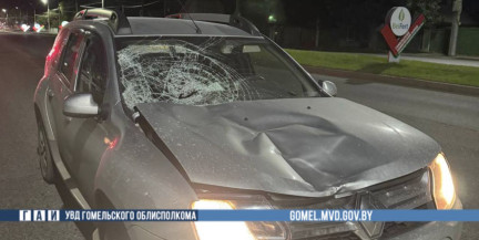 ГАИ ищет очевидцев. В Гомеле автомобиль сбил пьяного пешехода, переходившего дорогу в неположенном месте
