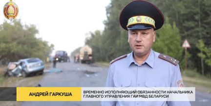 Страшное ДТП под Светлогорском: в ГАИ сказали, как можно было предотвратить трагедию