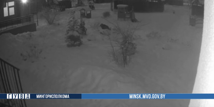 Наркоман ночью спрятался в детском саду, потому что «там безопаснее»