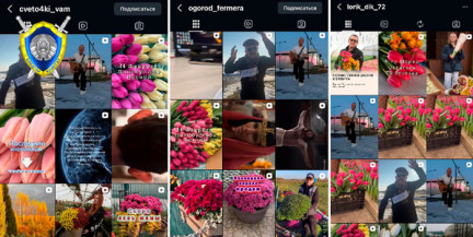 В Пинске мошенники провернули тюльпановую аферу