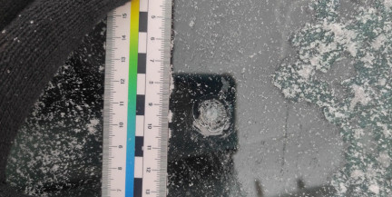 Девушка в Лоеве стреляла из пистолета и повредила авто соседа – возбуждено уголовное дело