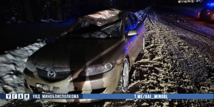 Лось стал причиной ДТП в Березинском районе: водитель в больнице