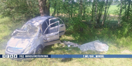 В Столбцовском районе в ДТП погибла пожилая женщина, не пристегнутая ремнем