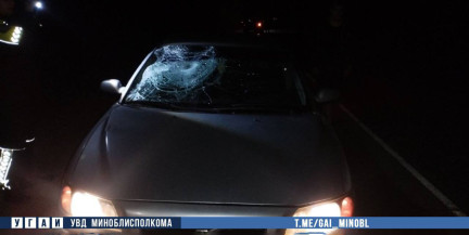 20-летний водитель насмерть сбил мужчину в Молодечненском районе