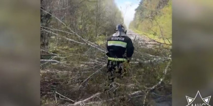 Спасатели МЧС устраняют последствия непогоды в Беларуси