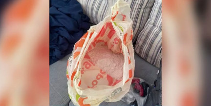 15 тысяч смертельных доз психотропов изъято в Минске