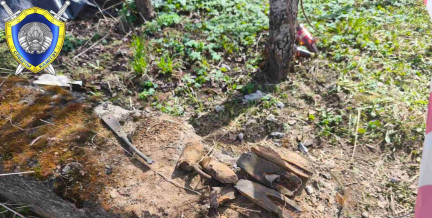 Мужчина пострадал от взрыва снаряда под Оршей: что известно