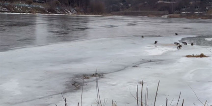 Подростки провалились под лед Немана во время фотосессии