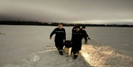 Женщины в Могилеве пошли погулять к Днепру: их выносили с поля еле живых