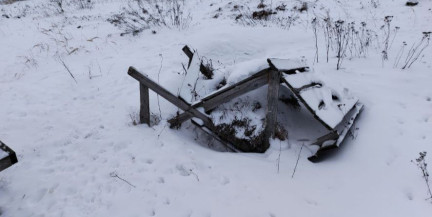 Бананы и питахайя вместо традиционных кормов: прокуратура выявила нарушения в охотугодьях