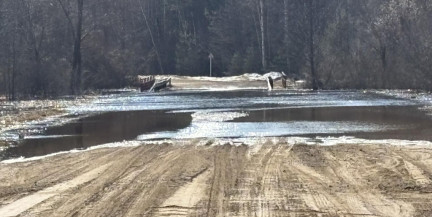 Уже второй мост ушел под воду в Могилевской области – МЧС