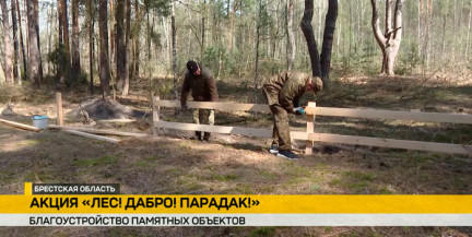 Акция «Лес! Добро! Порядок!» прошла у монумента в Домачево