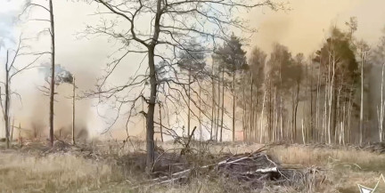 Непогода в Беларуси: от сильного ветра пострадали 16 населенных пунктов в четырех областях