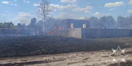 В Петриковском районе спасатели ликвидировали пожар в деревне Багримовичи