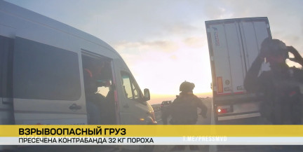 Тайник с десятками килограммов пороха обнаружили в Брестской области