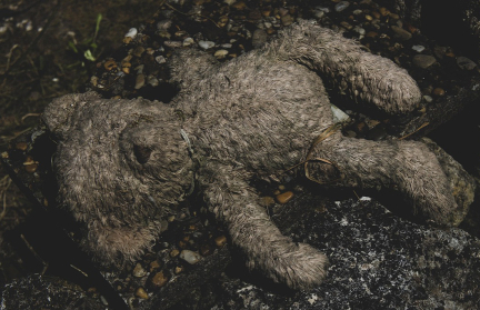 В США найден на улице плюшевый медведь, обтянутый человеческой кожей