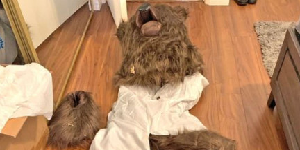 Мужчину в костюме медведя отправили в тюрьму за поцарапанные машины