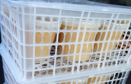 Партию меда из Беларуси не пропустили в Россию