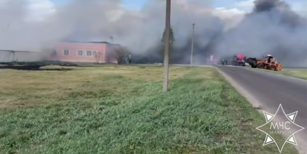 На ферме в Ивацевичском районе при пожаре спасли 125 телят