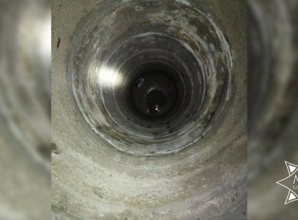 В Пинском районе спасатели достали кота из колодца