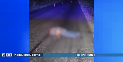 В Полоцком районе задержан водитель, скрывшийся с места смертельного ДТП