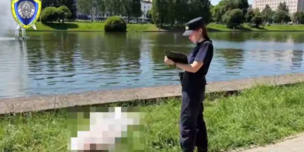 В Минске мужчина утонул во время заплыва на скорость в компании друзей