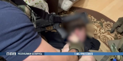 В Беларуси задержан 18-летний пропагандист нацизма, распространивший 30 тысяч сообщений в Telegram