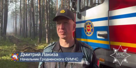 Пожар в лесном массиве у деревни Узбережь локализован – МЧС