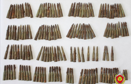 200 патронов времен войны найдены в Свислочском районе