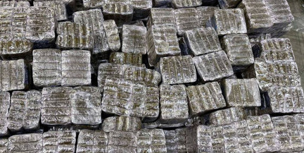 Белорусские таможенники изъяли 317 кг гашиша из Польши