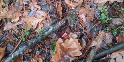 Мать двоих детей из Мозыря попалась на работе в наркобизнесе