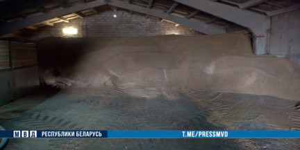 В Минской области предотвратили хищение более 620 тонн зерна