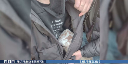 В Минской области задержан 19-летний закладчик с 2 кг гашиша