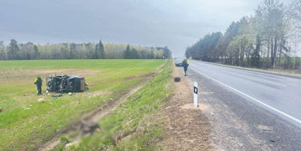 В ДТП с лосем в Могилевском районе пострадали водитель и пассажиры