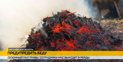 С приходом тепла резко поползла вверх статистика пожаров из-за палов сухой травы