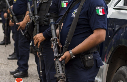 Шесть человеческих голов нашли вдоль дороги в Мексике