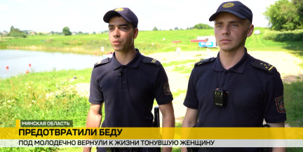 Под Молодечно спасли тонущую женщину: милиция и ОСВОД вернули ее к жизни