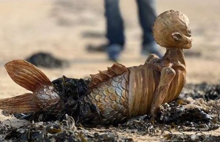Супруги нашли русалку на прогулке у моря. Находку сняли на фото